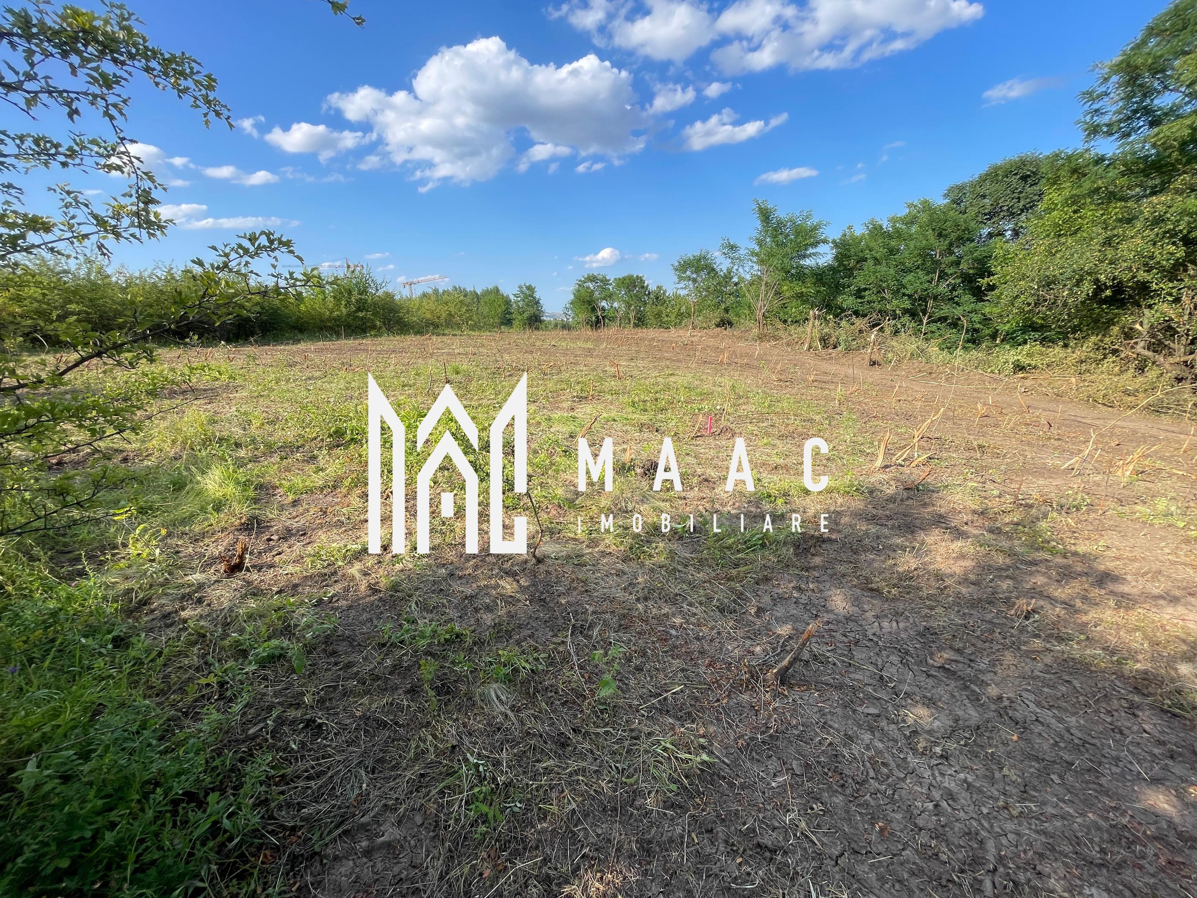 Oportunitate de Investiție Strategică | Teren Intravilan | Colonia Becas - 1