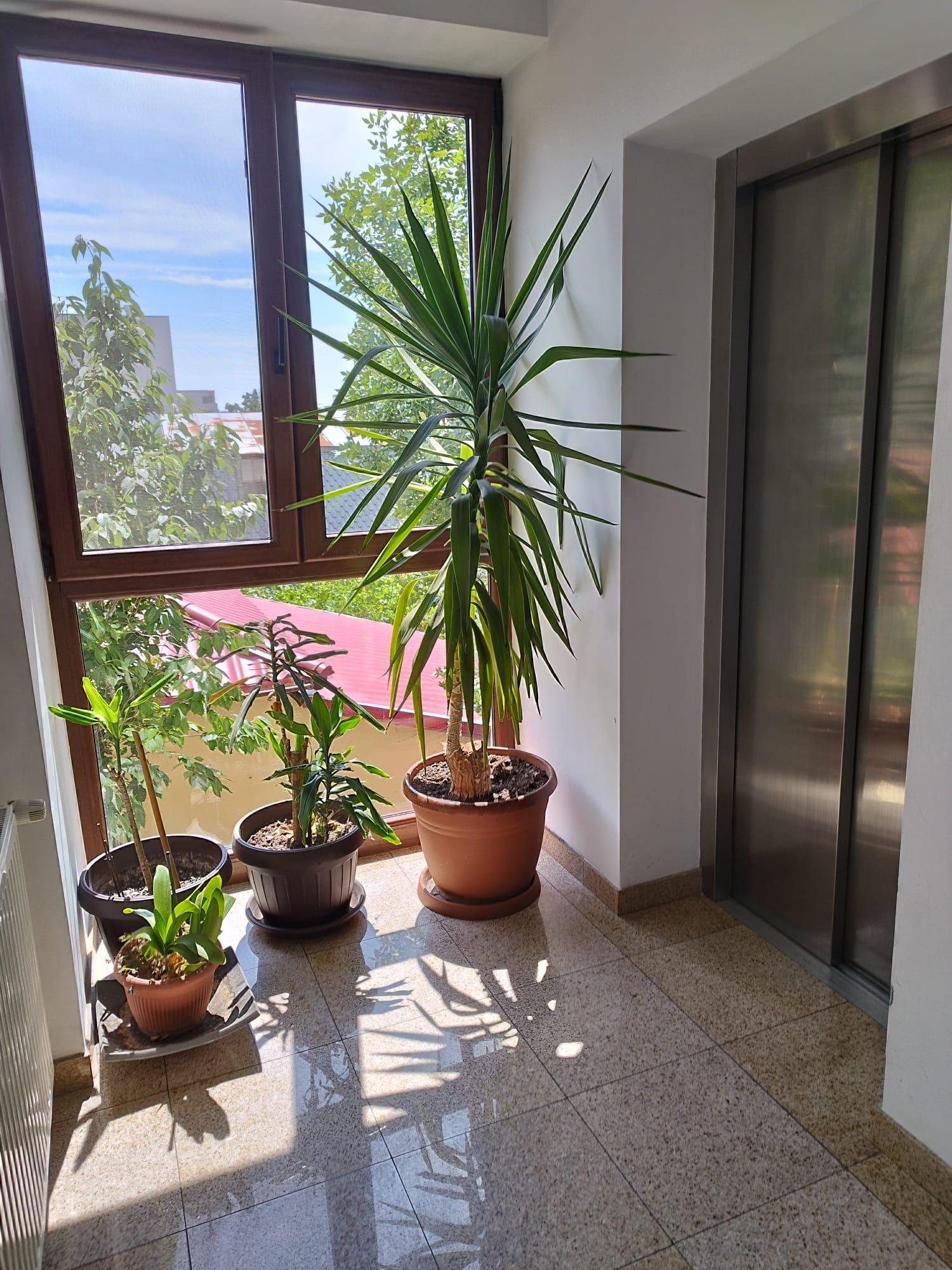 3 camere | Baneasa | 2 locuri parcare | Ionescu de la Brad - 28