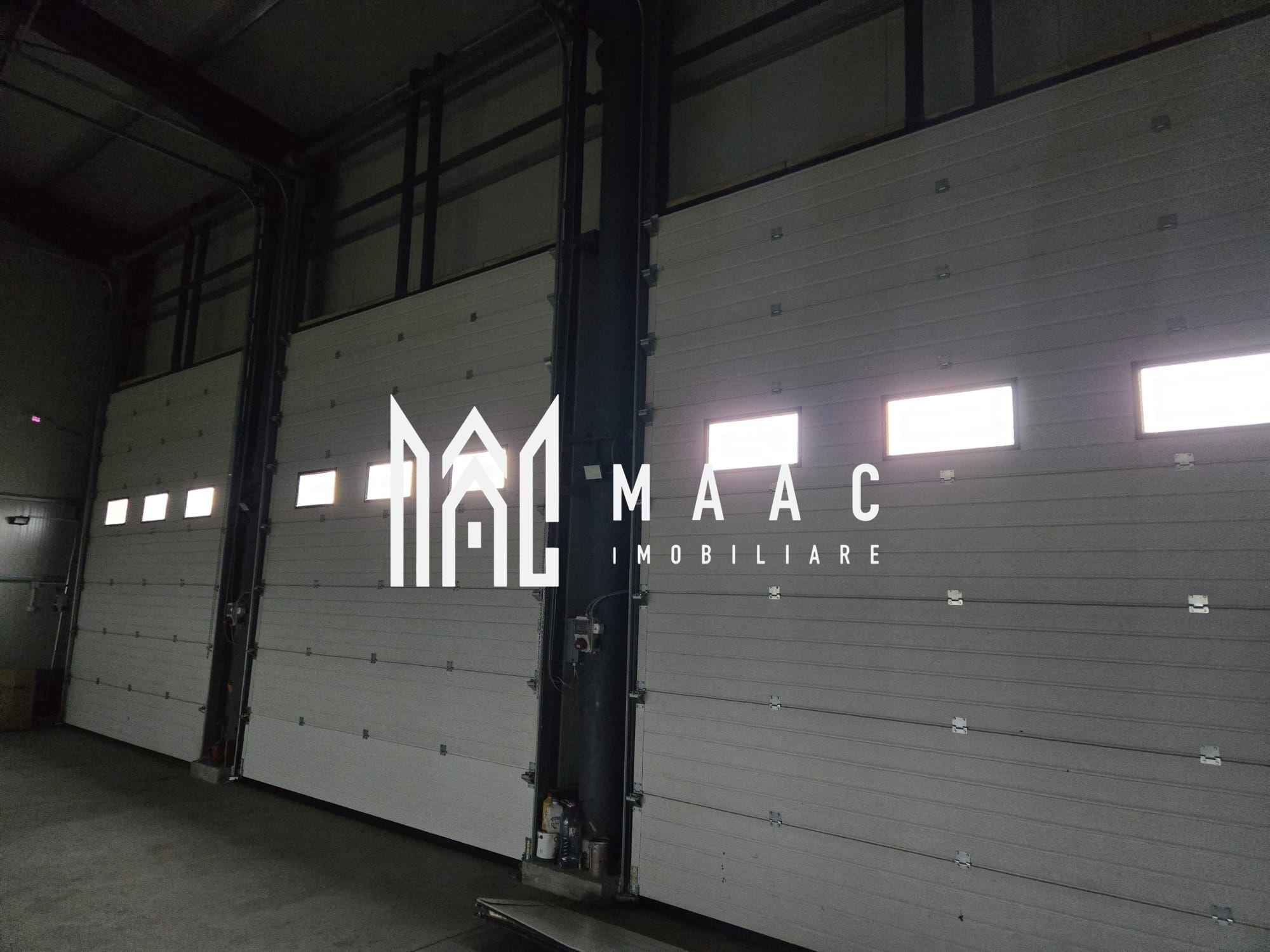 Imobil industrial I 448 mp I Teren 12.000 mp I Bradu I De Inchiriat - 5