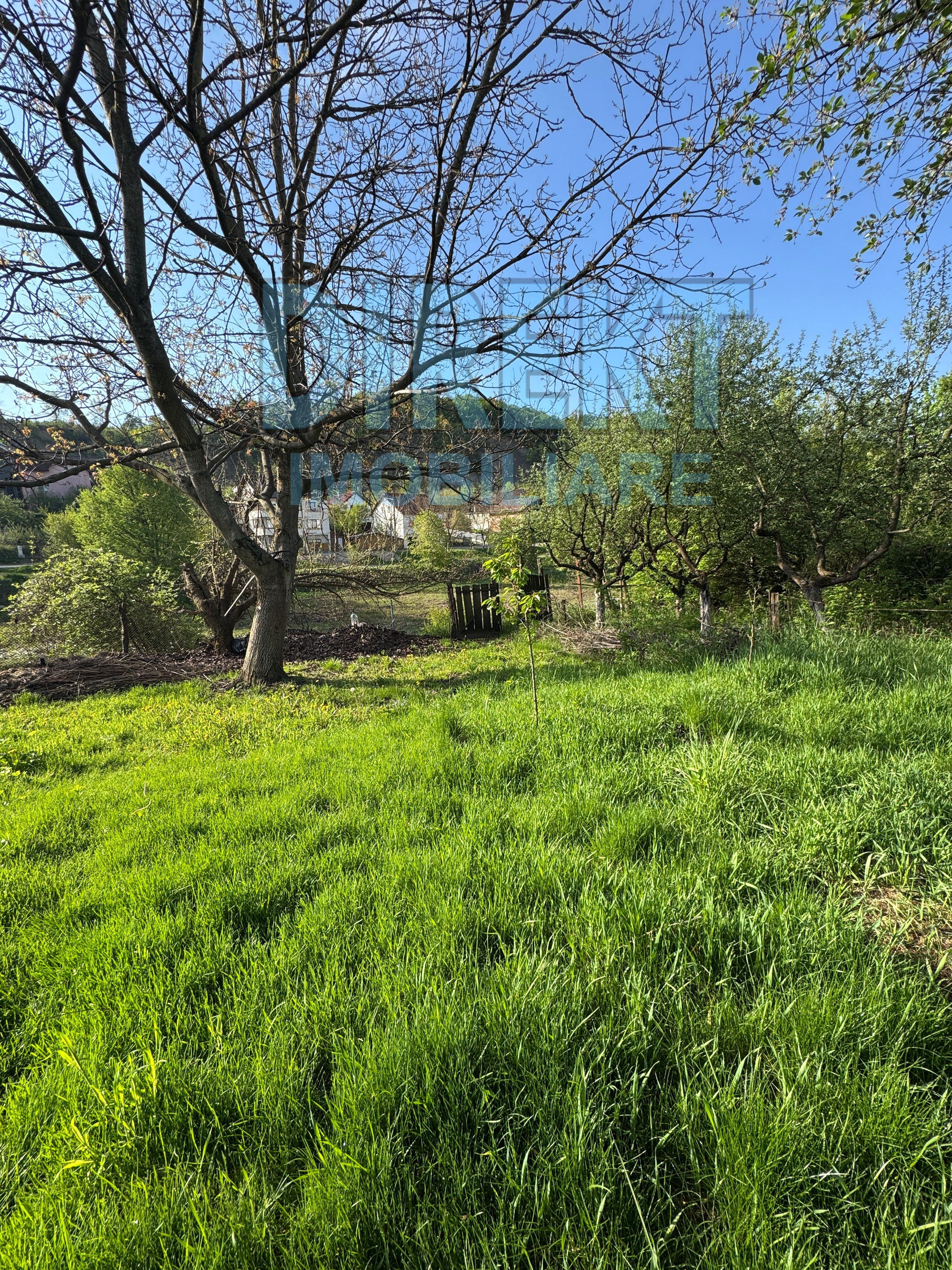 Casa 3 camere , 500 mp teren , zona C.R.Vivu - 13