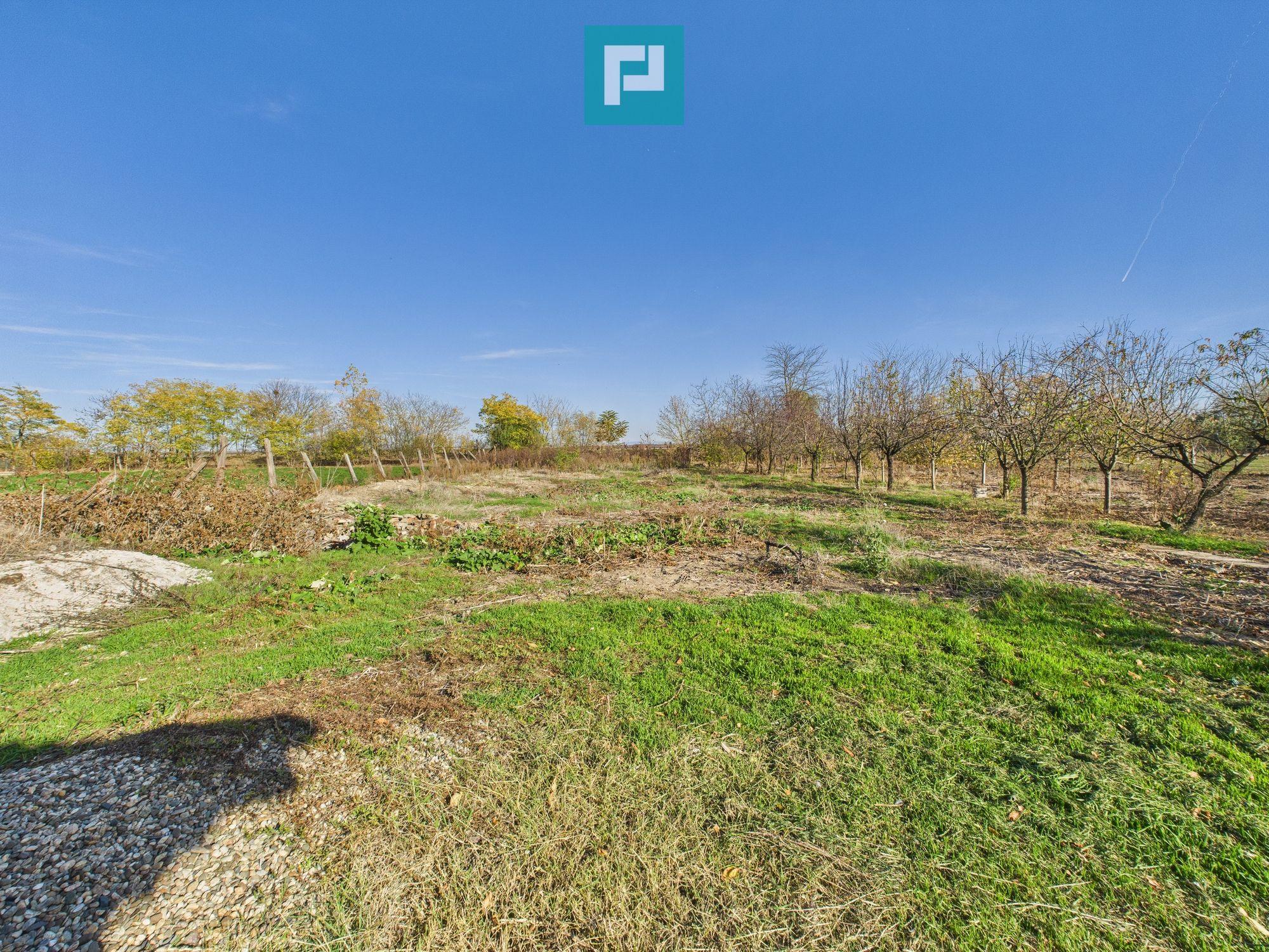 Casă 6 camere cu teren 1800 mp, Nădab - 30