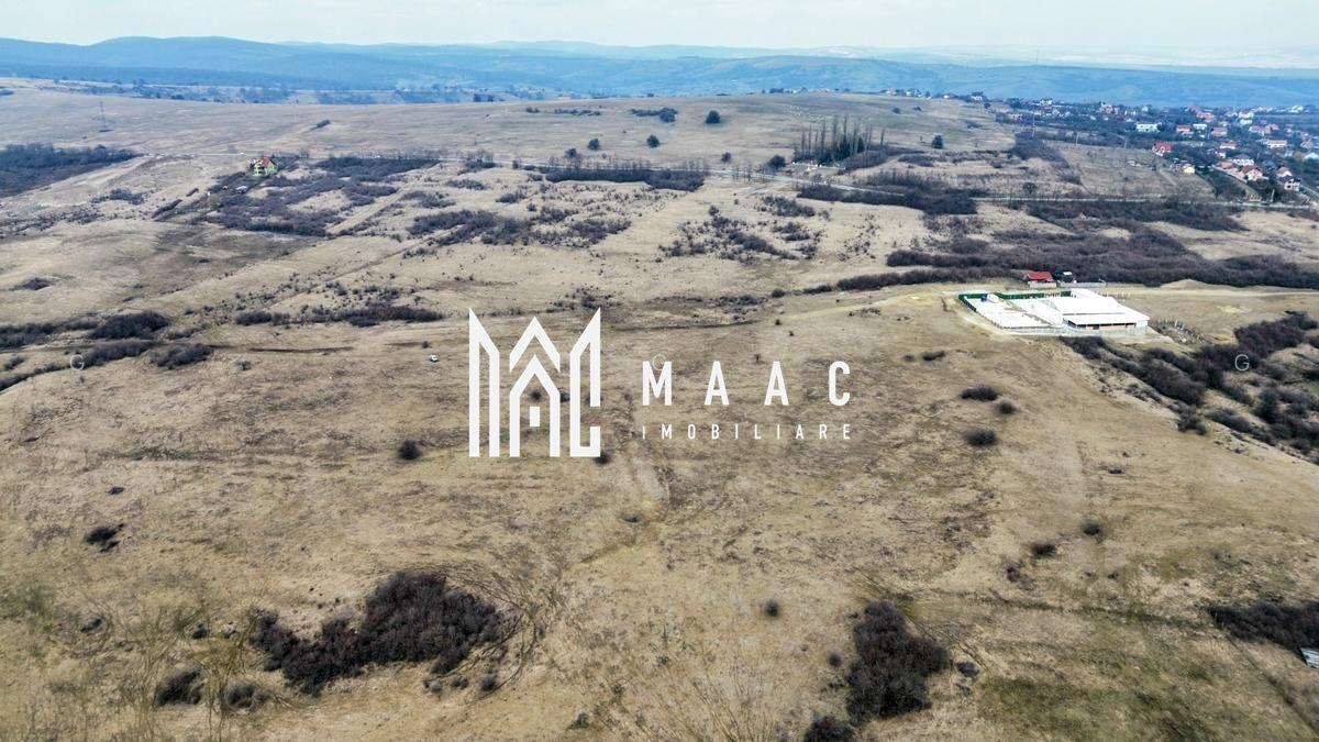 Teren 6,75 ha | Panoramă și Acces Excelent | Dealul Daii - 5