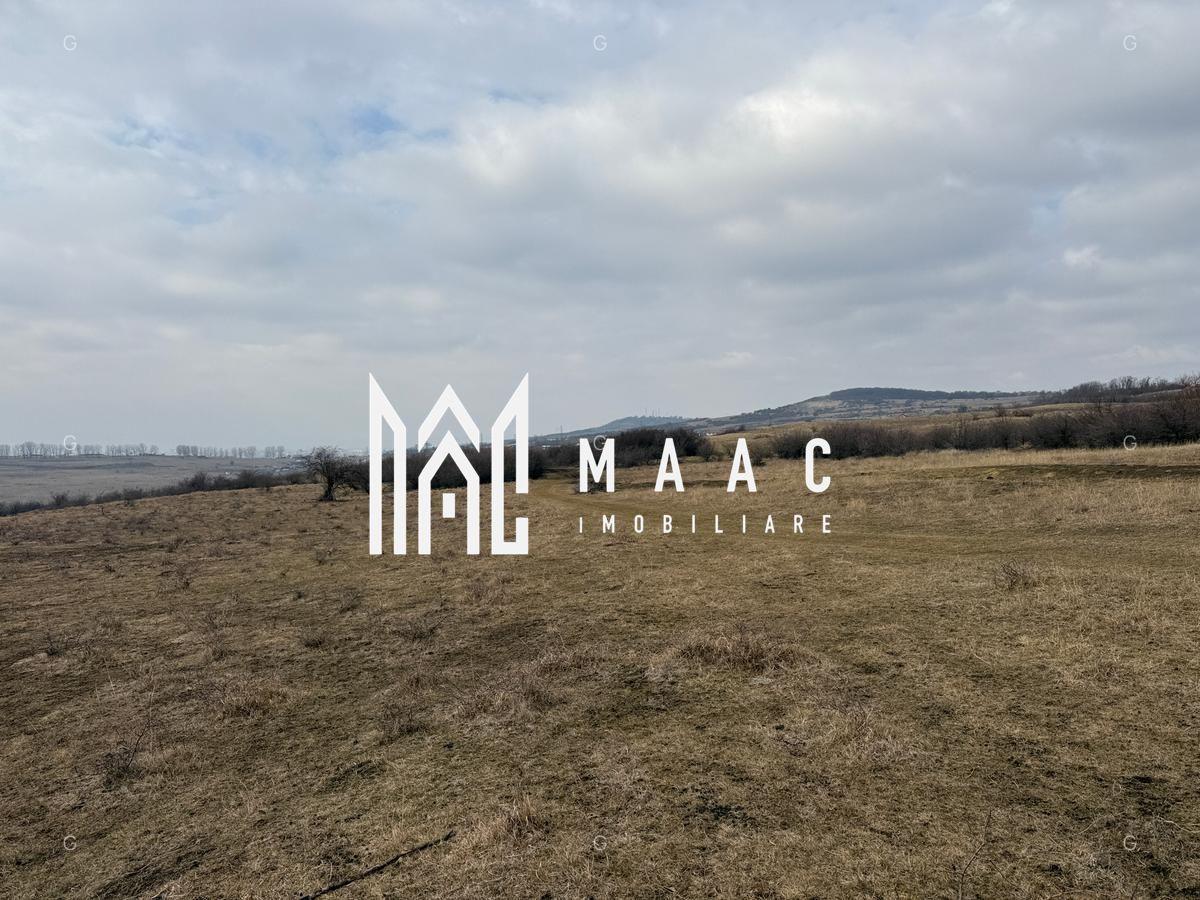 Teren 6,75 ha | Panoramă și Acces Excelent | Dealul Daii - 6