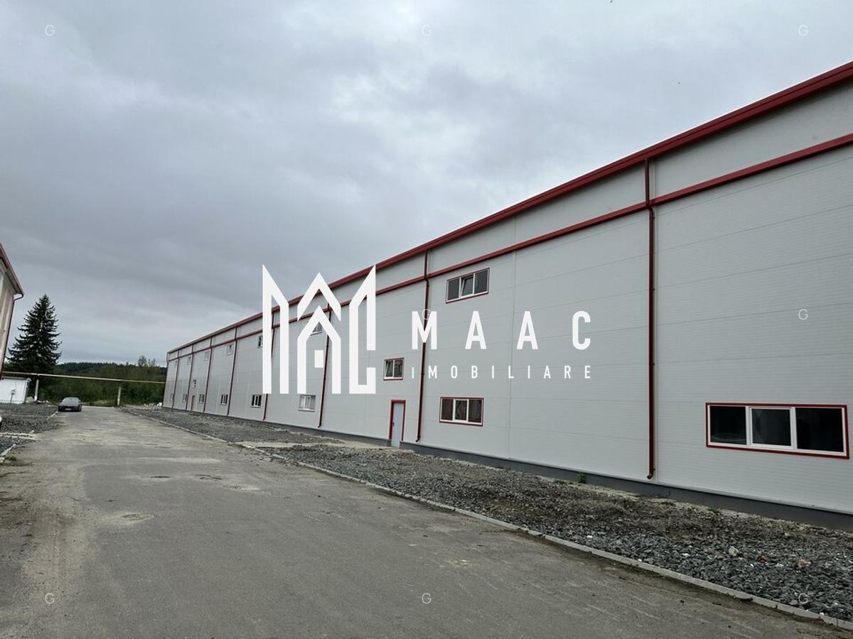 Hala producție I 6857 mp I Acces TIR I Pod Rulant I Mârșa - 6