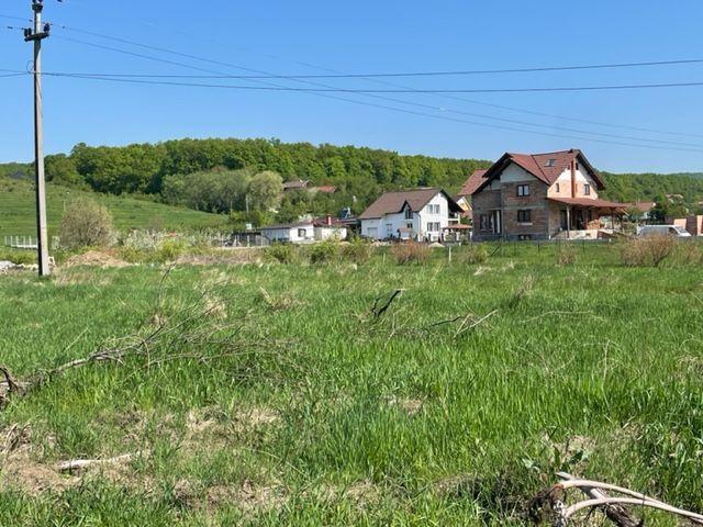 Teren intravilan , zona Drumul Sigmirului - 3