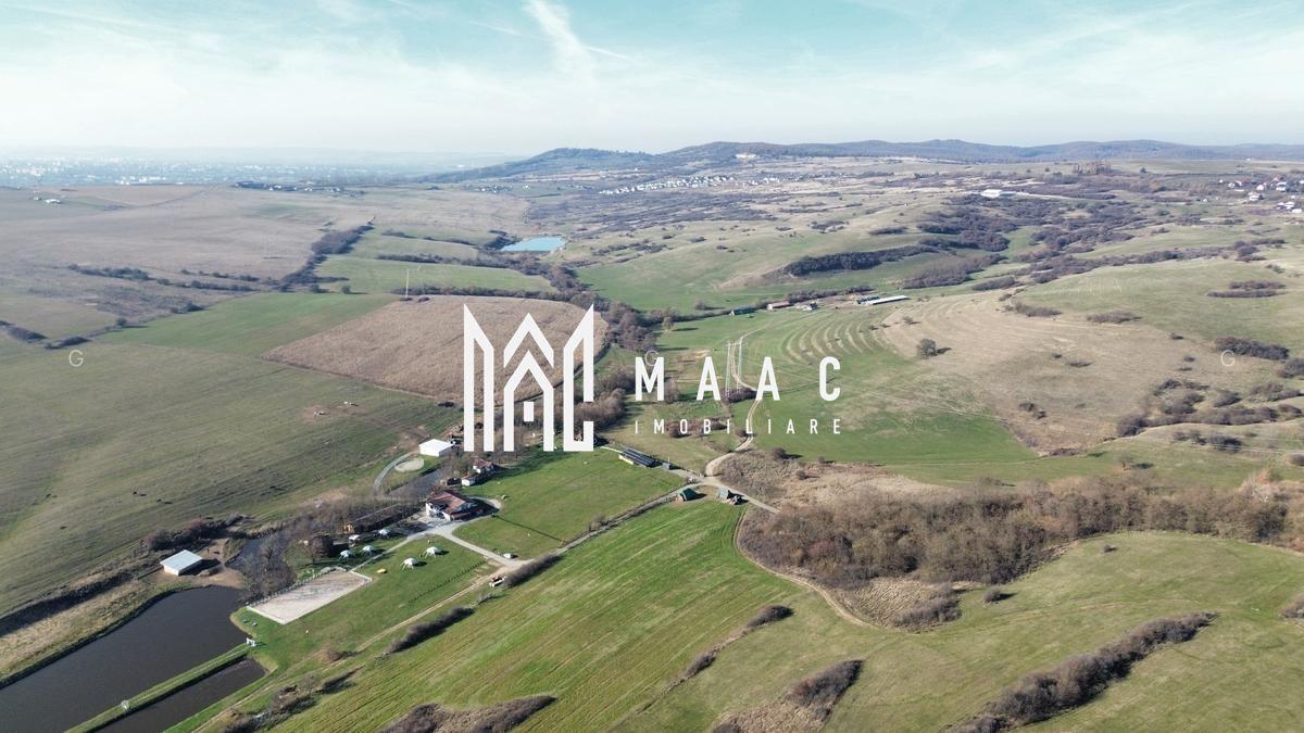 Investiție I Teren extravilan 67.500 mp I Dealul Dăii- Sibiu - 1