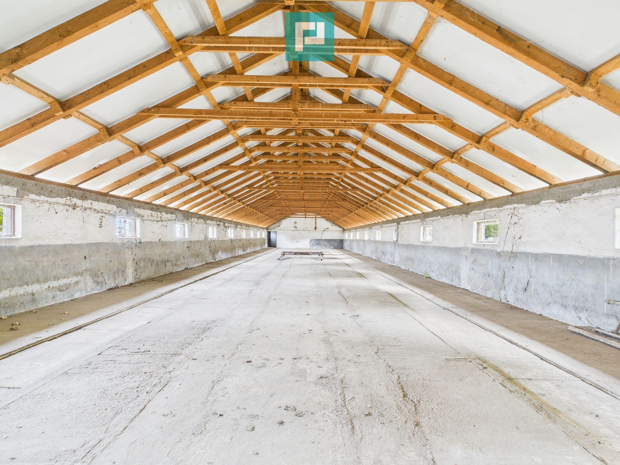 Hală pentru producție / fermă zootehnică - Variaș - 12